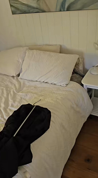 งูในบ้าน งูในบ้าน