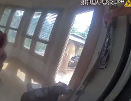 ช่วยสุนัข ช่วยสุนัข