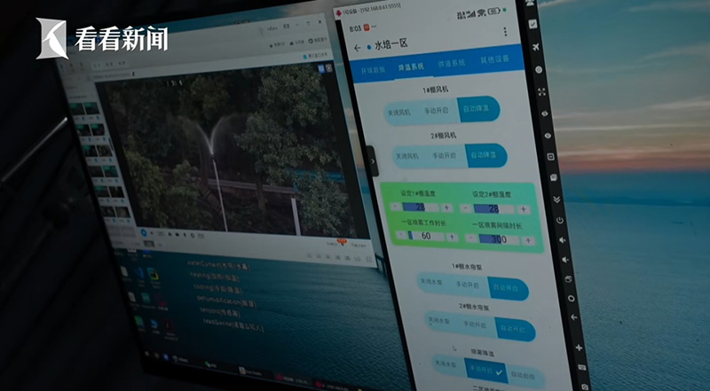 อัมพาต อัมพาต