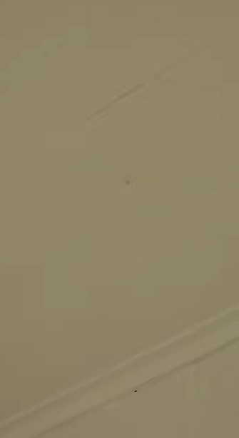 งูในบ้าน งูในบ้าน