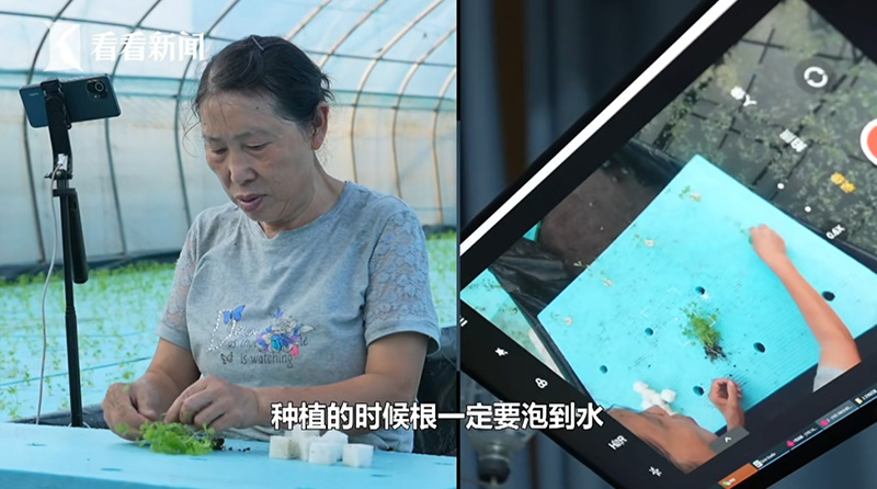 อัมพาต อัมพาต