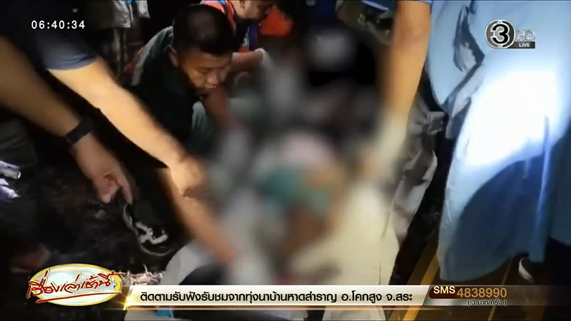 เผาหญ้า เผาหญ้า