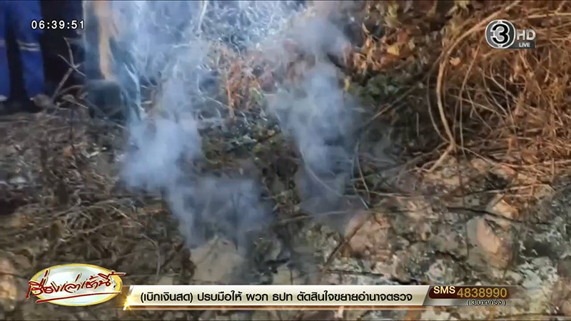 เผาหญ้า เผาหญ้า