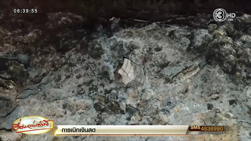 เผาหญ้า เผาหญ้า