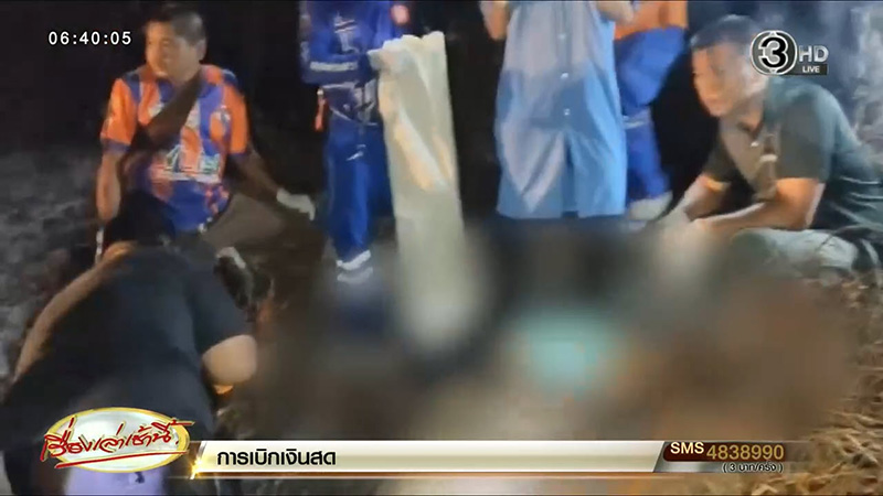 เผาหญ้า เผาหญ้า