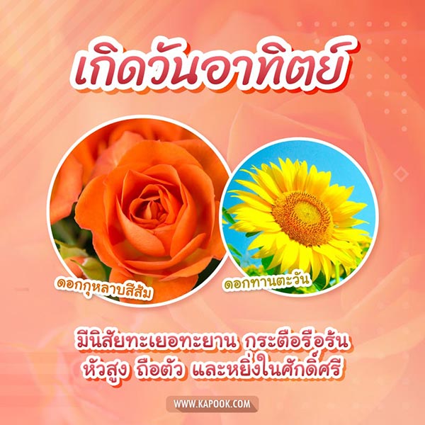 ดอกไม้ประจำวันเกิด ดอกไม้ประจำวันเกิด