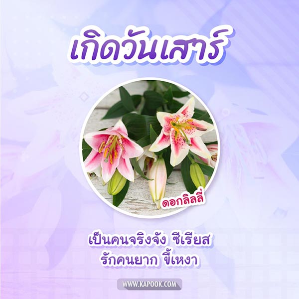 ดอกไม้ประจำวันเกิด ดอกไม้ประจำวันเกิด