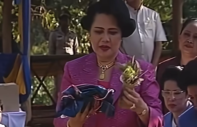 พระพันปีหลวง พระพันปีหลวง