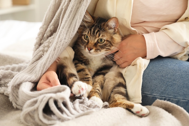 4 อย่างในบ้านที่กระตุ้นให้เกิดภูมิแพ้ 4 อย่างในบ้านที่กระตุ้นให้เกิดภูมิแพ้