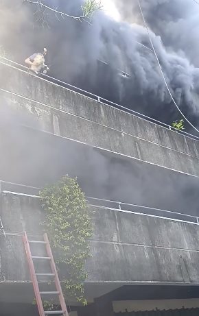 หญิงสาวไม่ยอมหนีไฟไหม้ ช่วยสุนัขให้ปลอดภัยจนครบ หญิงสาวไม่ยอมหนีไฟไหม้ ช่วยสุนัขให้ปลอดภัยจนครบ