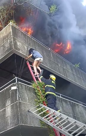 หญิงสาวไม่ยอมหนีไฟไหม้ ช่วยสุนัขให้ปลอดภัยจนครบ หญิงสาวไม่ยอมหนีไฟไหม้ ช่วยสุนัขให้ปลอดภัยจนครบ