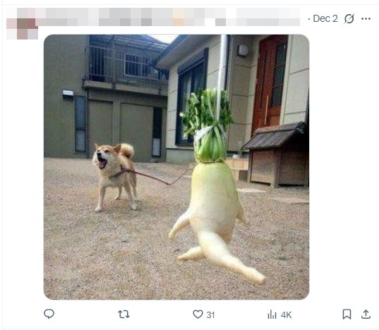 ภาพฟันคุดสาวญี่ปุ่น กลายเป็นไวรัล 17 ล้าน ภาพฟันคุดสาวญี่ปุ่น กลายเป็นไวรัล 17 ล้าน