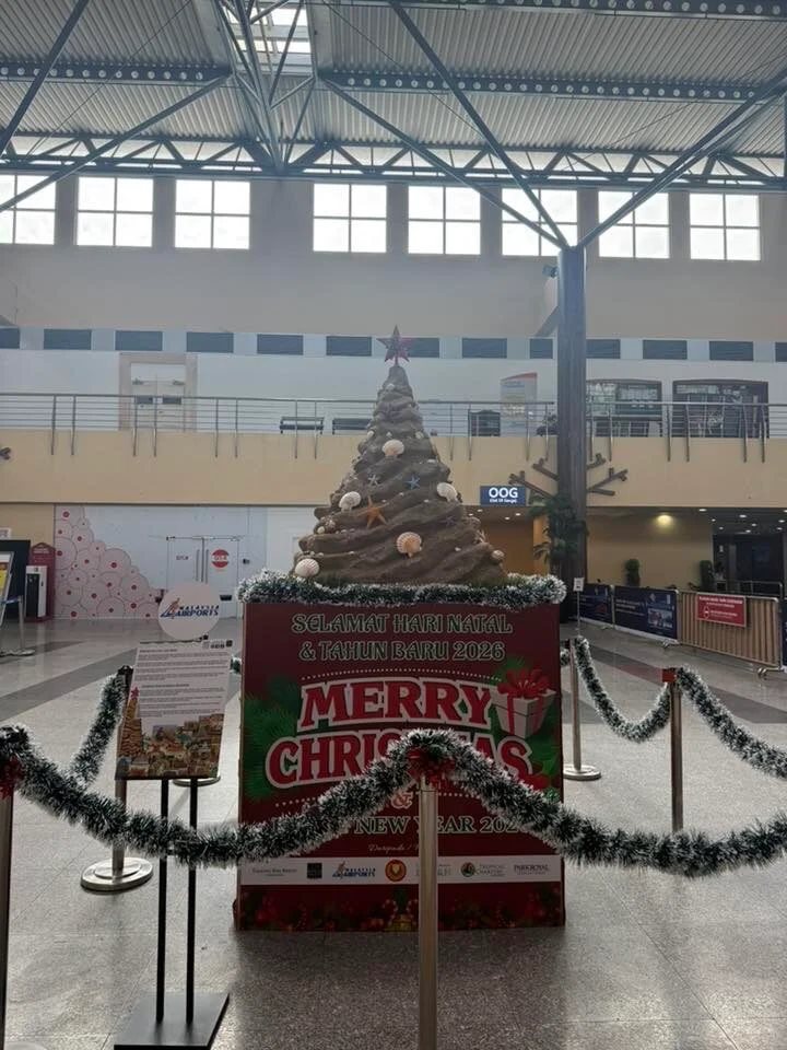 ต้นคริสต์มาส ต้นคริสต์มาส