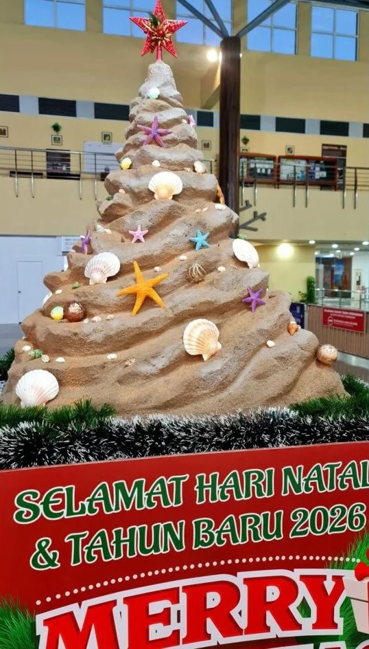 ต้นคริสต์มาส ต้นคริสต์มาส