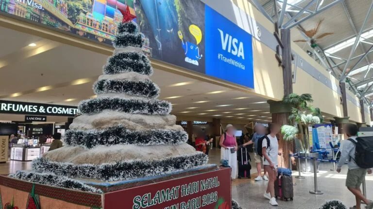 ต้นคริสต์มาส ต้นคริสต์มาส