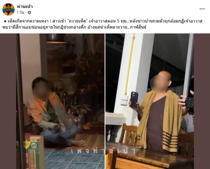 เห็ดหูหนู เห็ดหูหนู