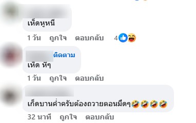 เห็ดหูหนู เห็ดหูหนู
