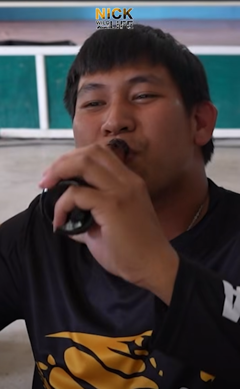งูเหลือมกินไข่ งูเหลือมกินไข่