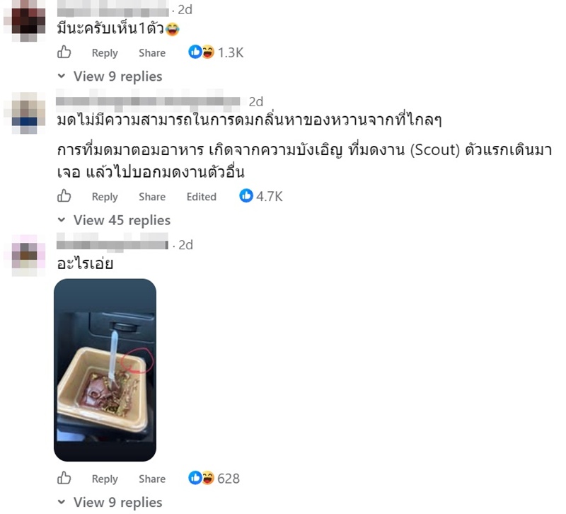 ช็อกโกแลตดูไบ ช็อกโกแลตดูไบ