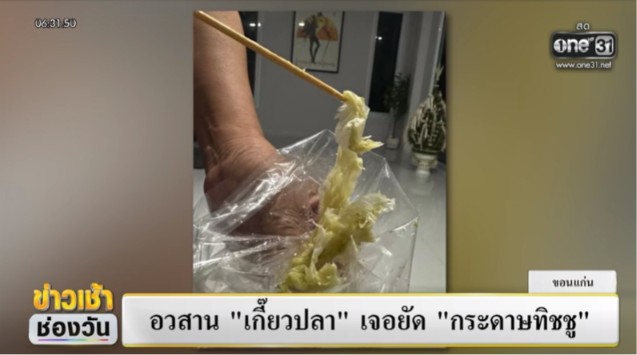 เกี๊ยวปลา เกี๊ยวปลา