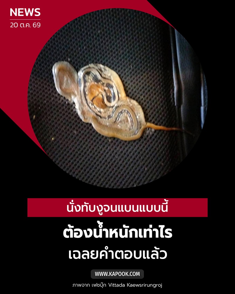นั่งทับงู นั่งทับงู