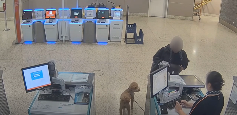 เจ้าตูบถูกทิ้งที่สนามบิน เจ้าตูบถูกทิ้งที่สนามบิน