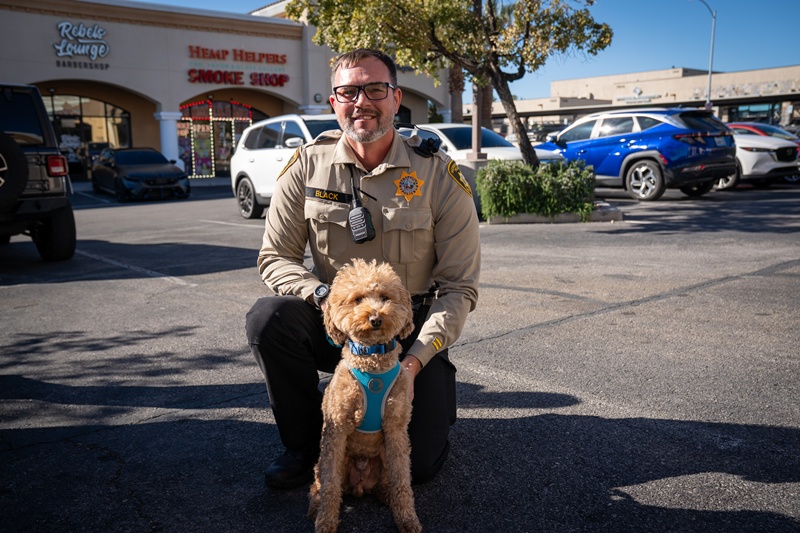 เจ้าตูบถูกทิ้งที่สนามบิน เจ้าตูบถูกทิ้งที่สนามบิน