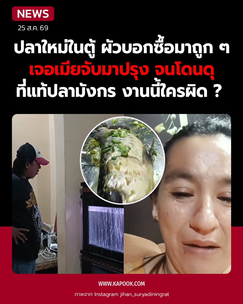 ปลามังกร ปลามังกร