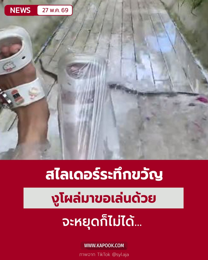 งูเล่นสไลเดอร์ งูเล่นสไลเดอร์