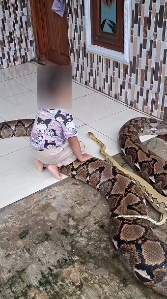 คนเลี้ยงงู คนเลี้ยงงู