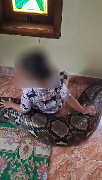 คนเลี้ยงงู คนเลี้ยงงู