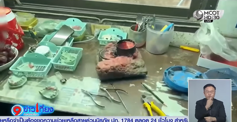 หมอฟันเถื่อน หมอฟันเถื่อน