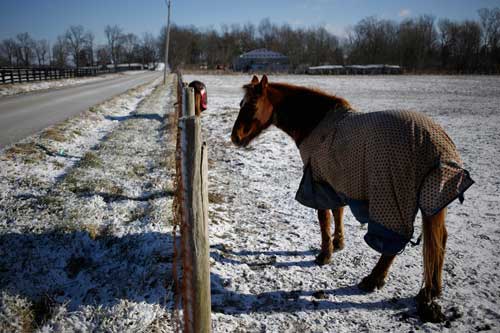 สหรัฐฯ ถูกแช่แข็งทั้งแผ่นดิน เตรียมรับมืออากาศเย็นลงอีก สหรัฐฯ ถูกแช่แข็งทั้งแผ่นดิน เตรียมรับมืออากาศเย็นลงอีก