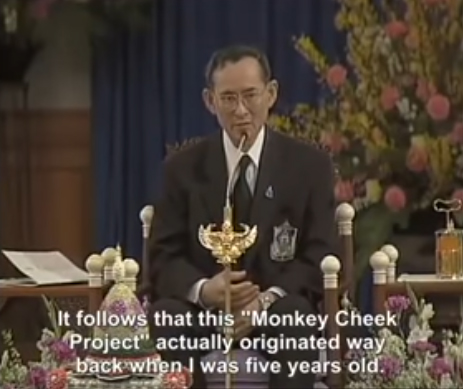 ในหลวง ร.9 ในหลวง ร.9