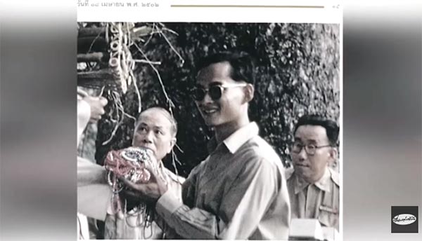 ในหลวง ร.9 ในหลวง ร.9