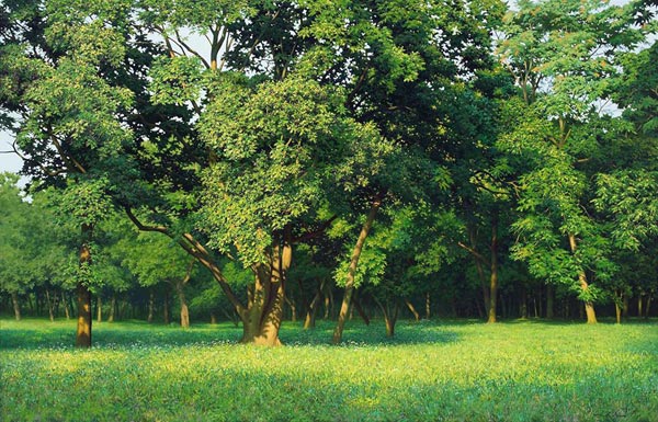 ภาพวาดเสมือนจริง ภาพวาดเสมือนจริง