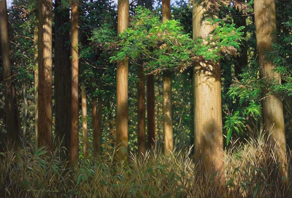 ภาพวาดเสมือนจริง ภาพวาดเสมือนจริง