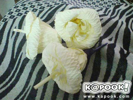 ไม้จันทน์หอม ไม้จันทน์หอม