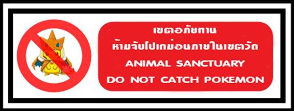 จับโปเกมอนในวัด จับโปเกมอนในวัด