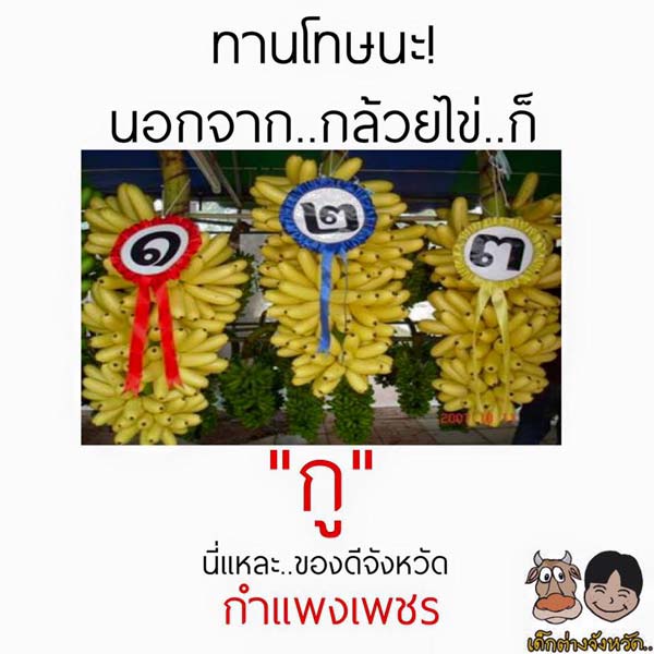 ของดีประจำจังหวัด ของดีประจำจังหวัด