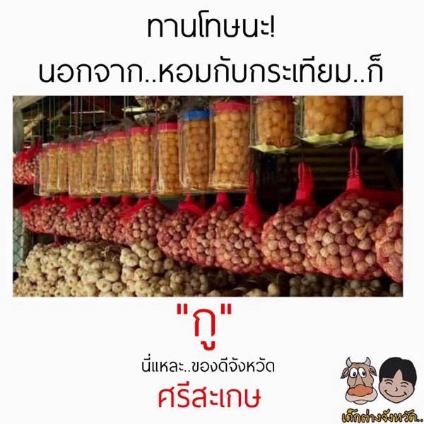 ของดีประจำจังหวัด ของดีประจำจังหวัด