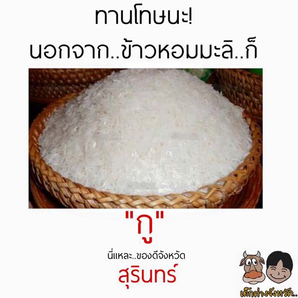 ของดีประจำจังหวัด ของดีประจำจังหวัด
