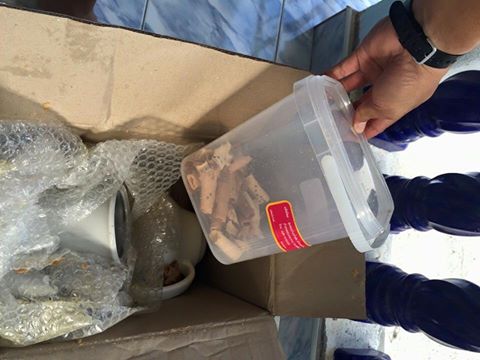 ไปรษณีย์ไทยฉาว ไปรษณีย์ไทยฉาว