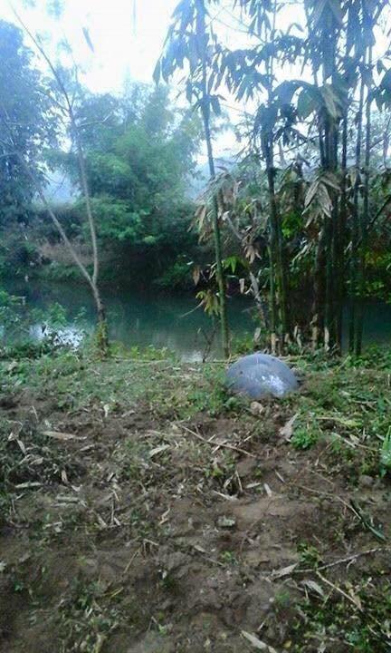 วัตถุประหลาดตกลงมาจากฟ้า วัตถุประหลาดตกลงมาจากฟ้า