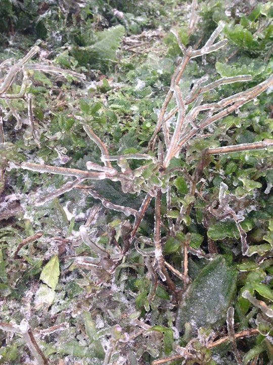 หิมะตกที่ลาว หิมะตกที่ลาว