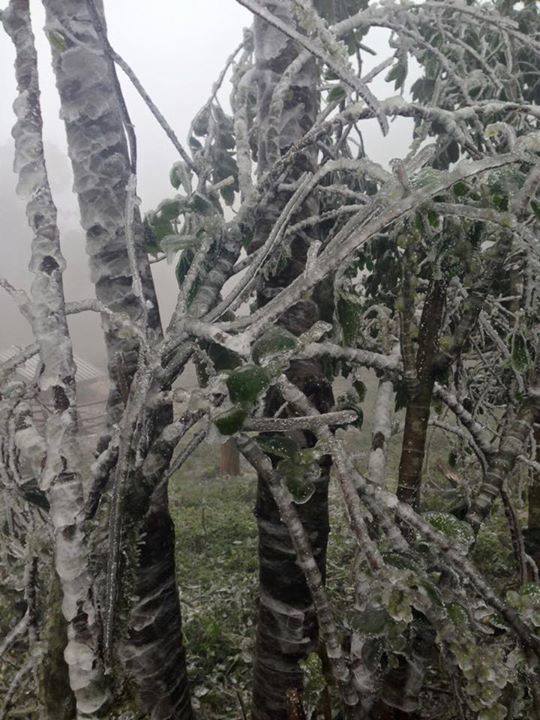 หิมะตกที่ลาว หิมะตกที่ลาว