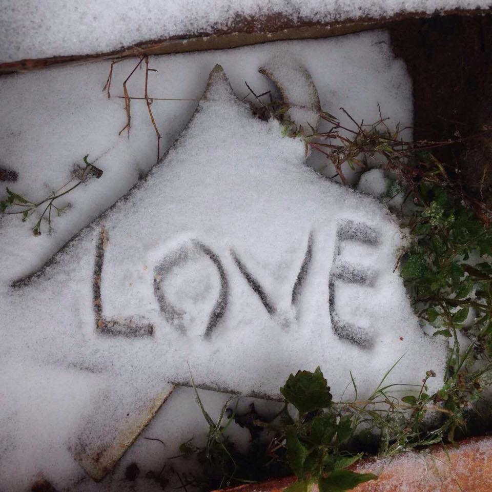 หิมะตกที่ลาว หิมะตกที่ลาว