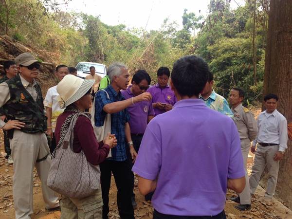 เขาหัวโล้น จ.น่าน เขาหัวโล้น จ.น่าน