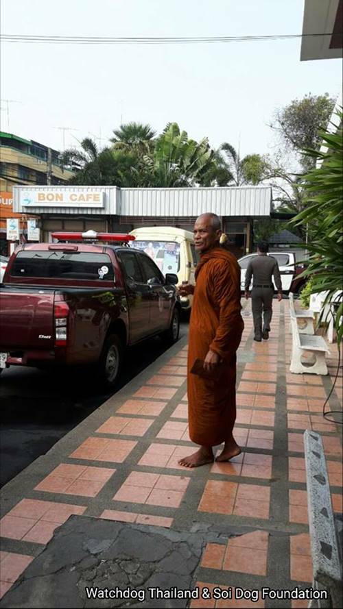 พระหนูทีใช้หมาบิณฑบาตร พระหนูทีใช้หมาบิณฑบาตร