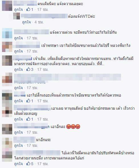 พระหนูที ให้หมาลากรถ พระหนูที ให้หมาลากรถ